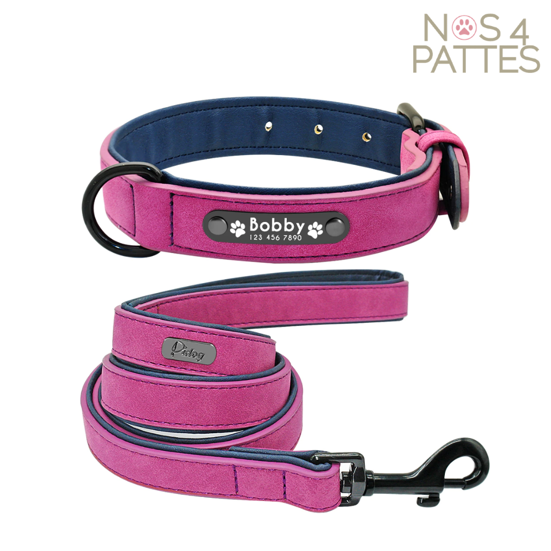 ceinture et laisse personnalisable avec prénom et téléphone chat chien couleur fushia