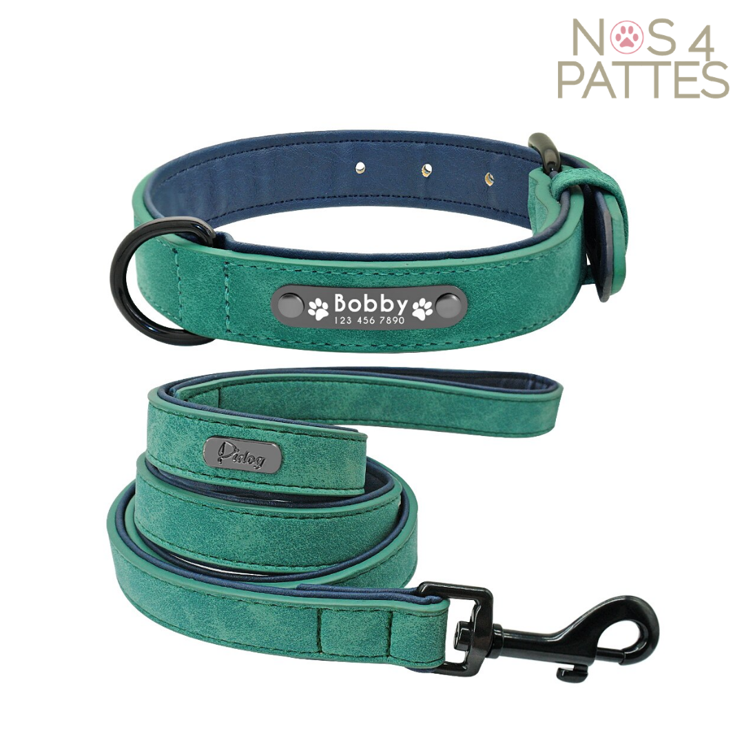 ceinture et laisse personnalisable avec prénom et téléphone chat chien couleur emeraude