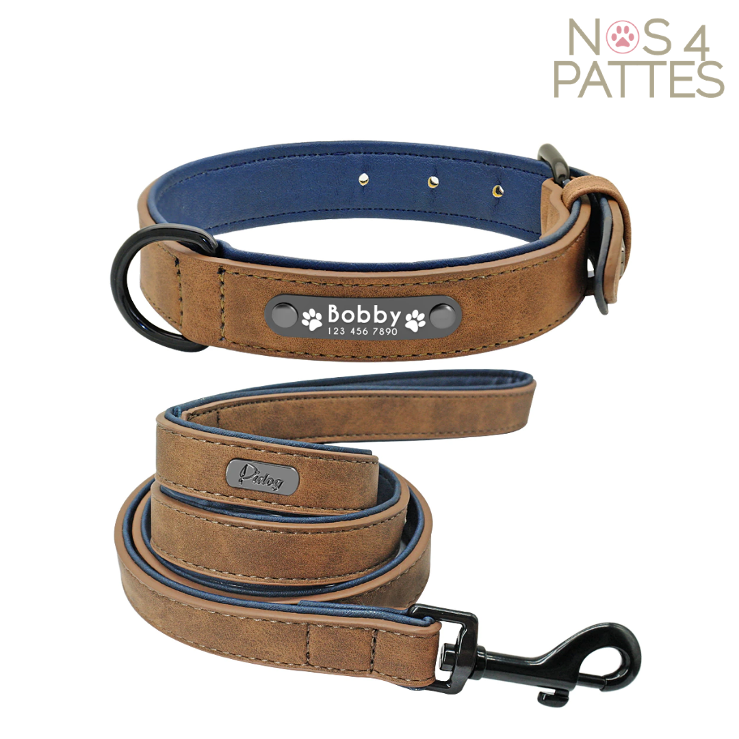 ceinture et laisse personnalisable avec prénom et téléphone chat chien couleur café