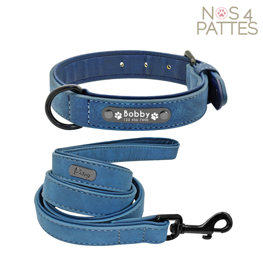 ceinture et laisse personnalisable avec prénom et téléphone chat chien couleur bleu
