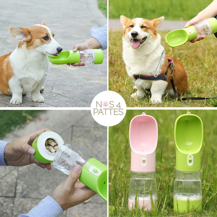 gourde de transport eau et croquettes pour chat et chien