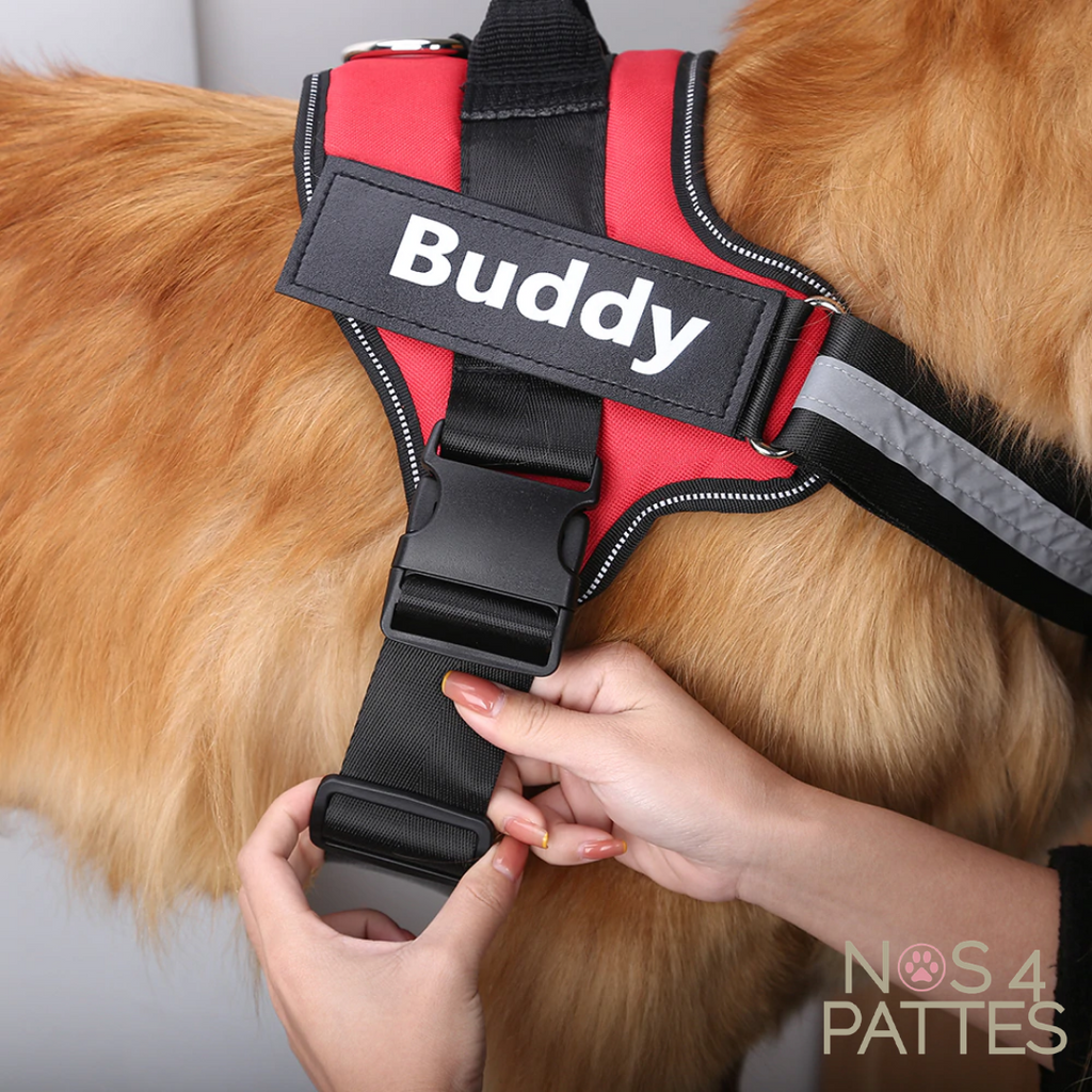 Harnais anti-traction personnalisable pour chien — contrôle sans tirer & sécurité maximale