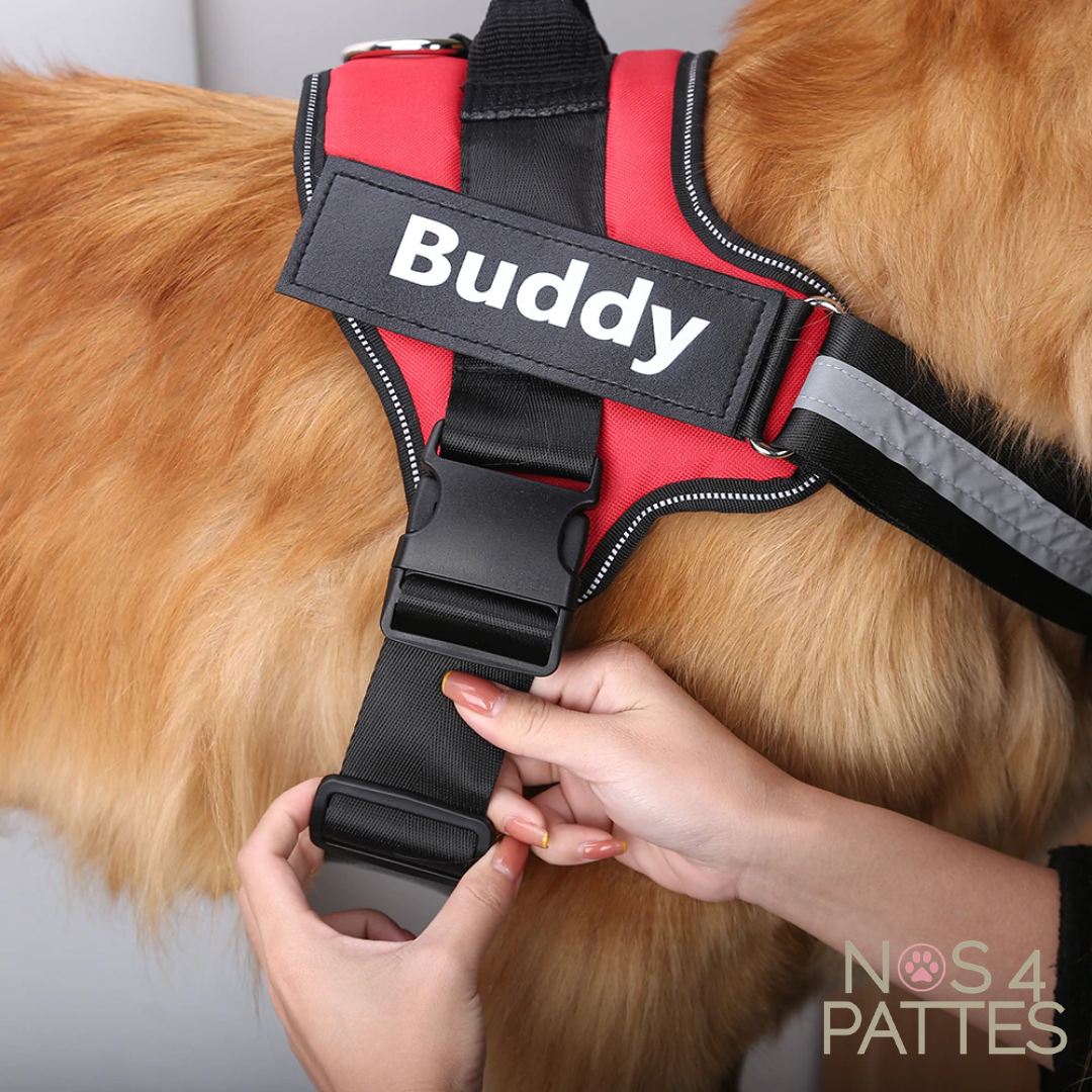 Harnais anti-traction personnalisable pour chien — contrôle sans tirer & sécurité maximale
