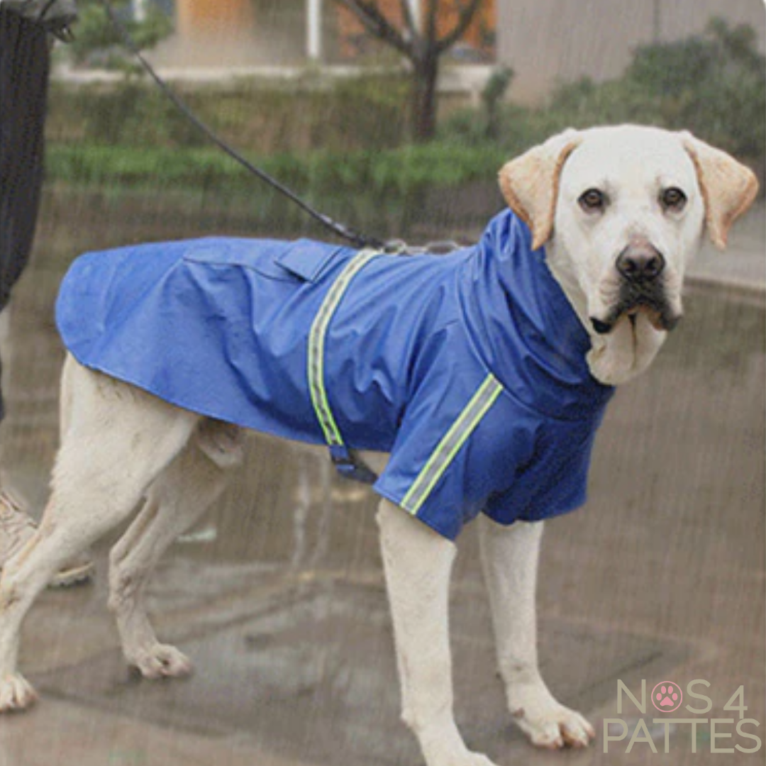 Impermeable veste de pluie chien avec capuchon NOS 4 PATTES Nos 4 pattes