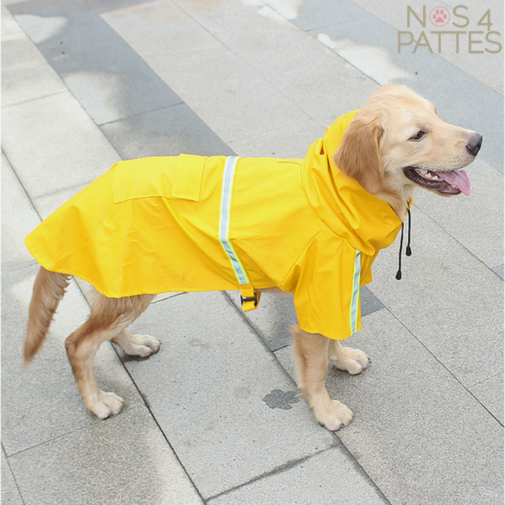 veste de pluie imperméable chien nos 4 pattes