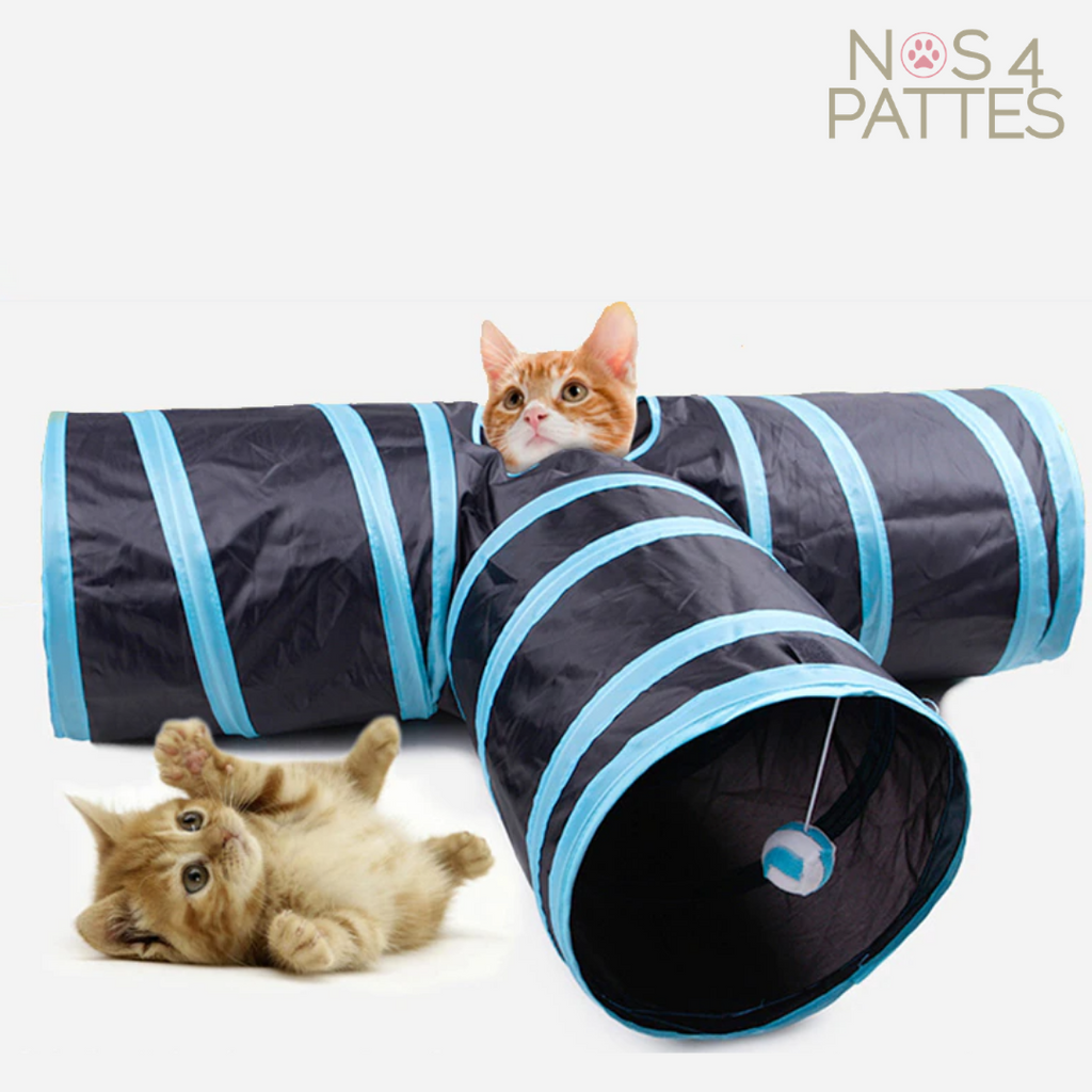 jouet tunnel pour chat 