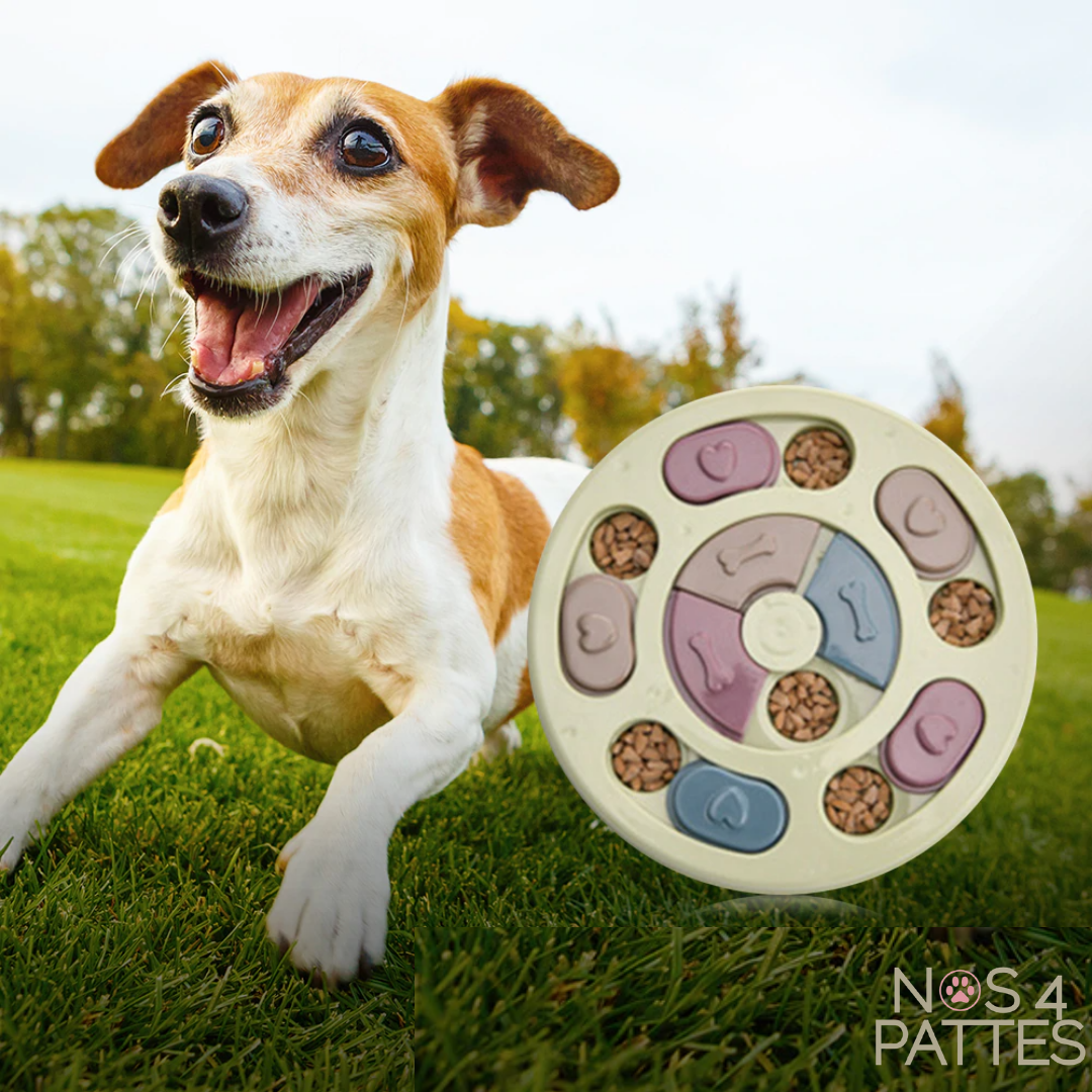 Gamelle anti glouton chien chat