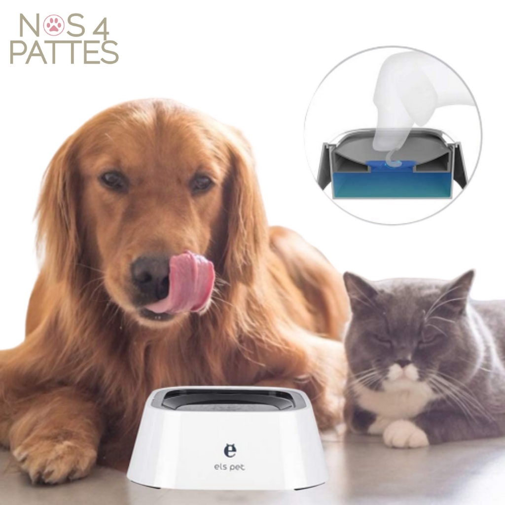 bol gamelle anti-éclaboussure chat chien nos 4 pattes