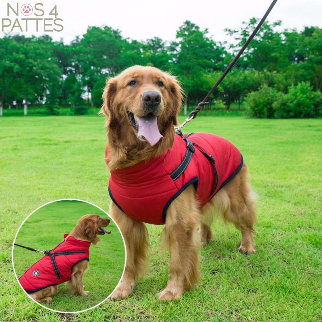 Manteau impermeable et polaire avec harnais integre pour chien Nos 4 pattes