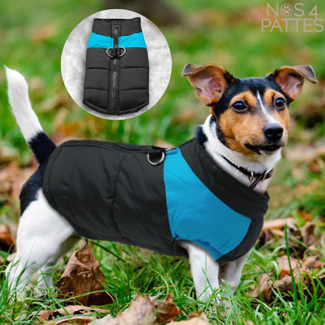 Manteau impermeable pour chien NOS 4 PATTES Nos 4 pattes