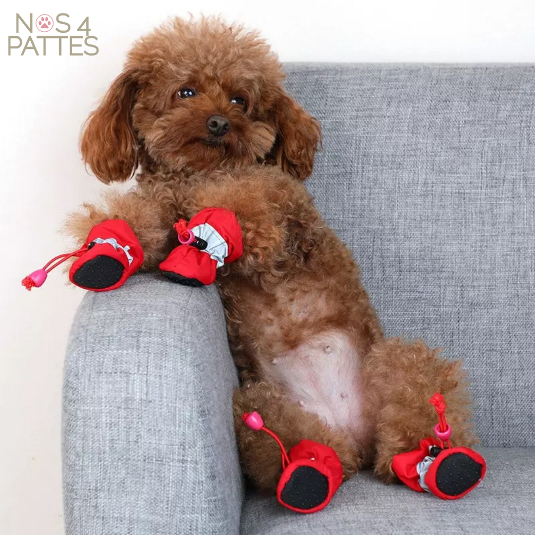 protège pattes bottes imperméables chien nos 4 pattes