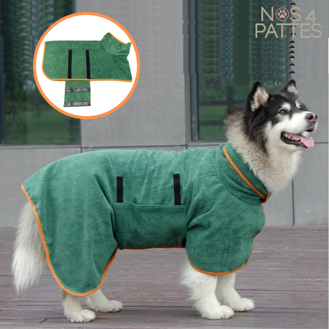 peignoir vert chien nos 4 pattes