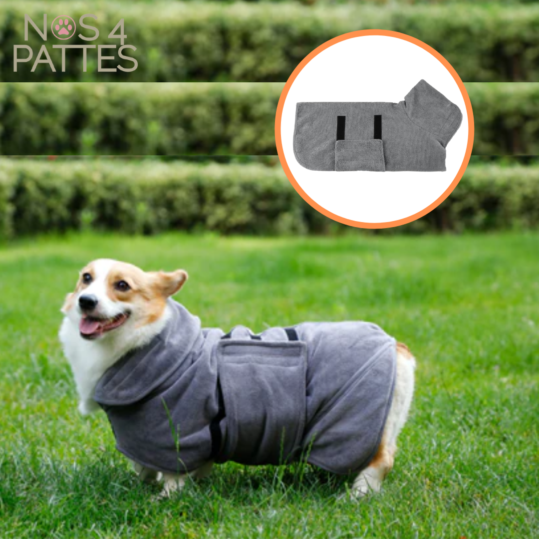 peignoir gris nos 4 pattes