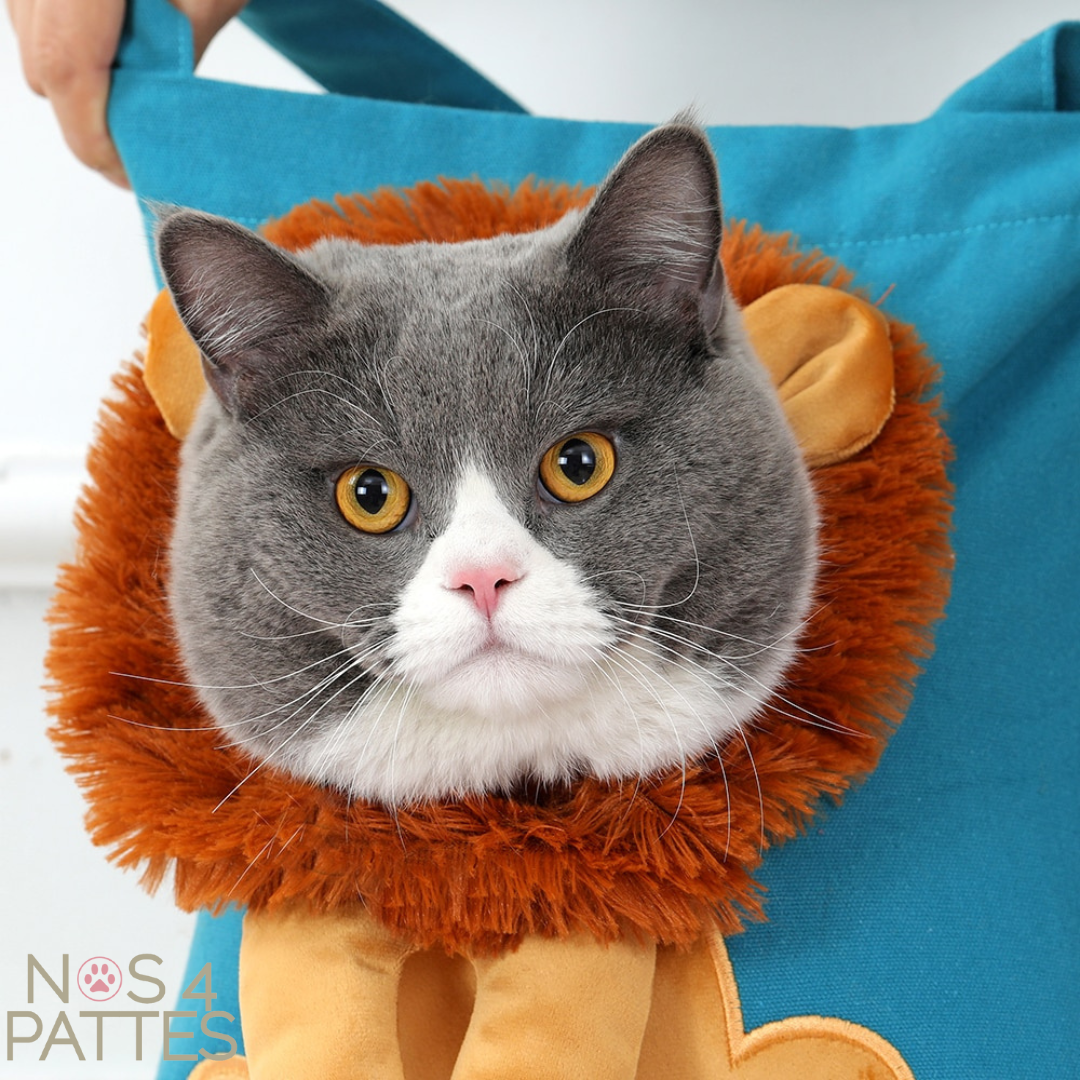 sac style lion pour chat details
