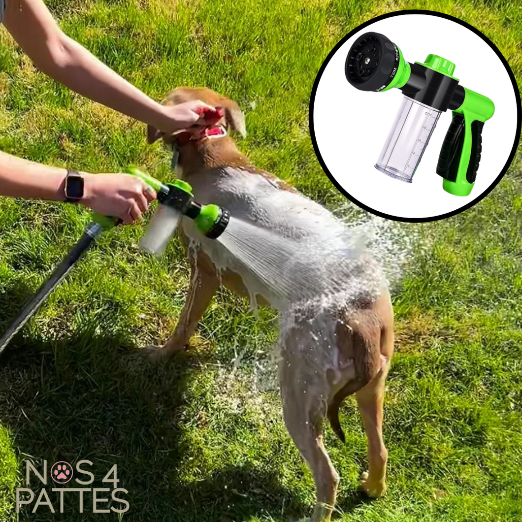 Jet d'eau moussant nettoyage chien