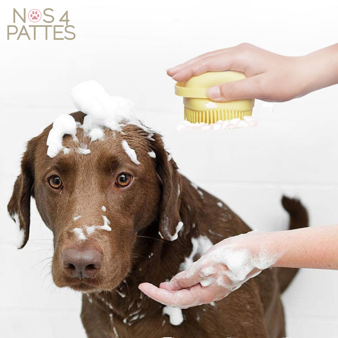 brosse chien