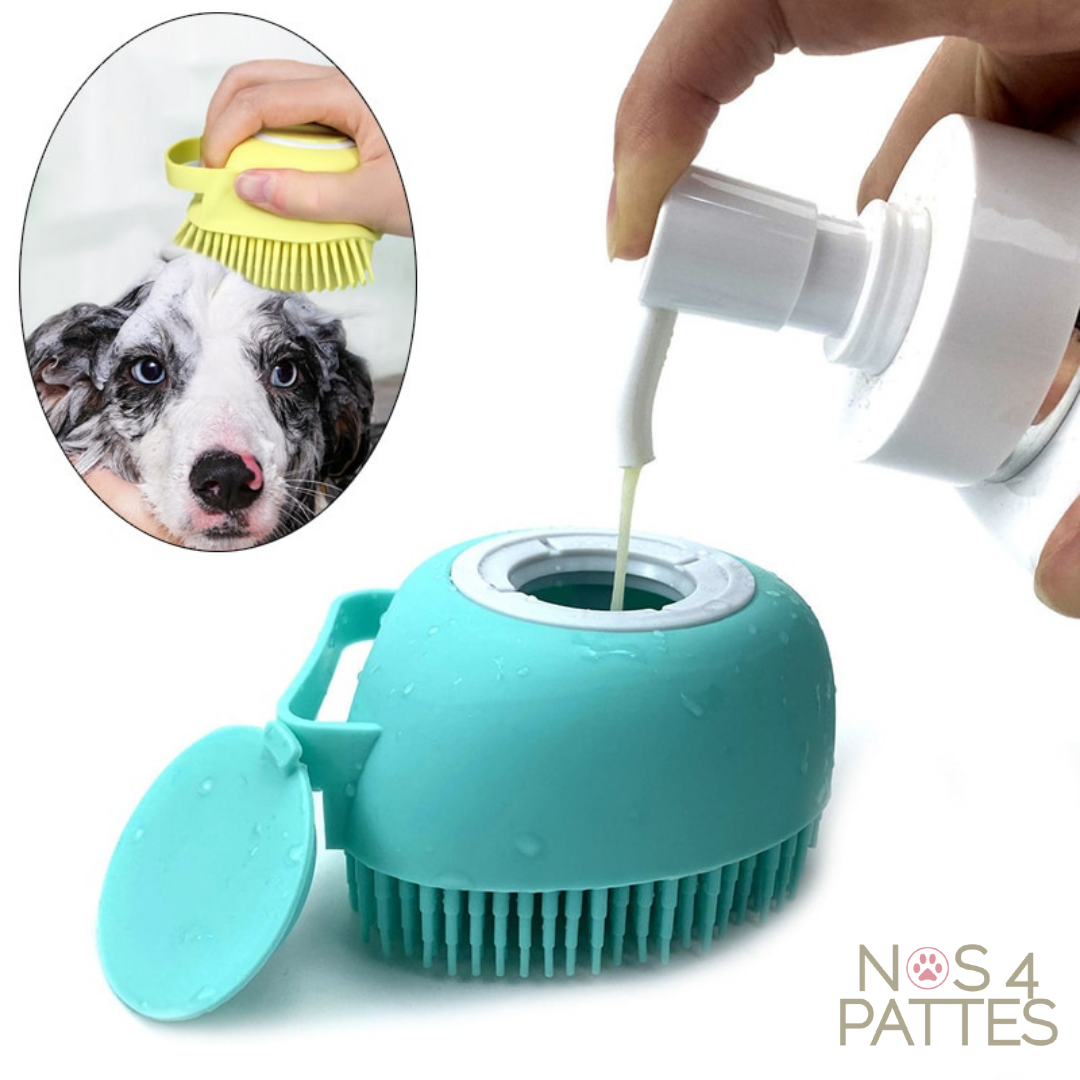brosse bain pour chien