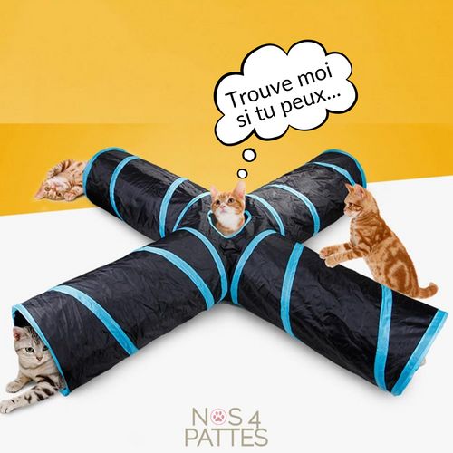 jouet tunnel pour chat 