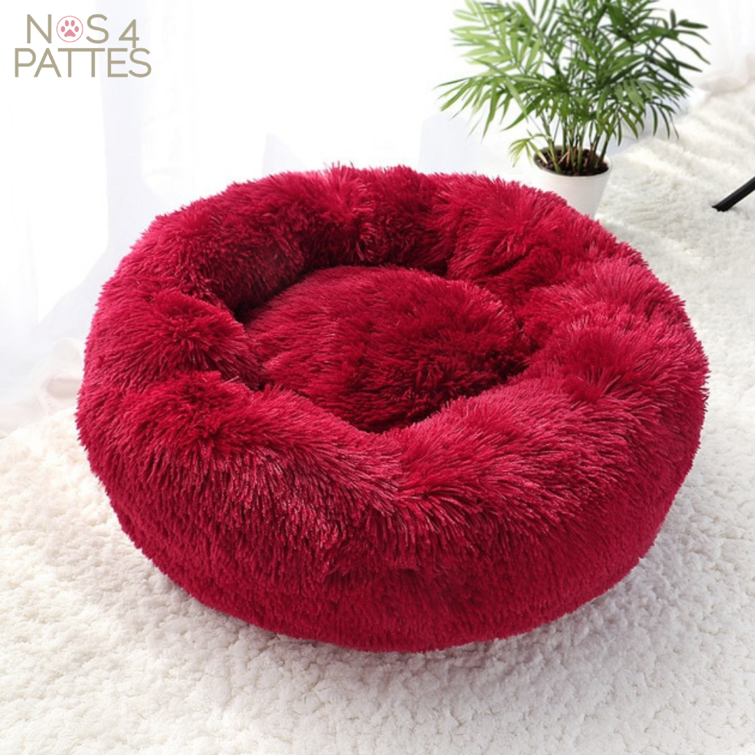 coussin calmant anti stress chat chien couleur bordeaux nos 4 pattes